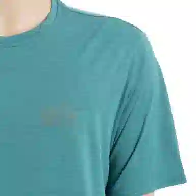 patagonia T Wetland Blue