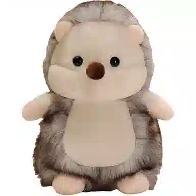 20cm