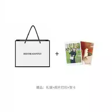 红蜻蜓 复古高级保龄球波士顿包潮流美拉德通勤百搭气质斜挎 牛剖层革 手提包 常规 男女同款情侣款 棕色/黑色