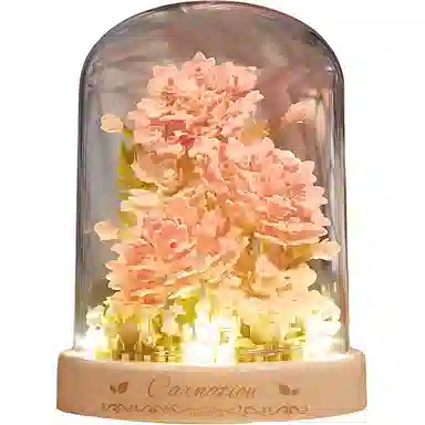 DIY 899699402362pcs QQ