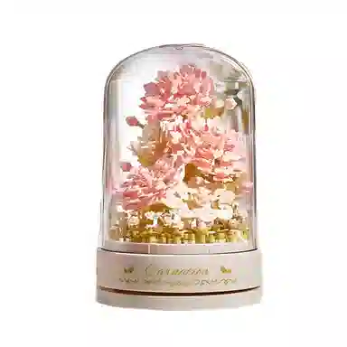 DIY 899699402362pcs QQ