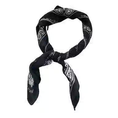 杨同学 高级感潮 丝巾 女款