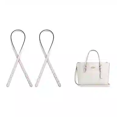 jingxi coachmollie25