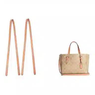 jingxi coachmollie25