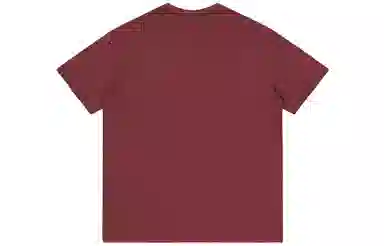 Kawasaki 320gCleanfitLogoT