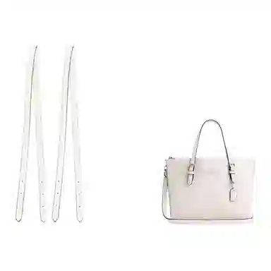 jingxi coachmollie25