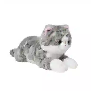 The Green Party 15cm23cm