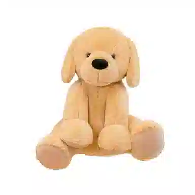 35cm60cm