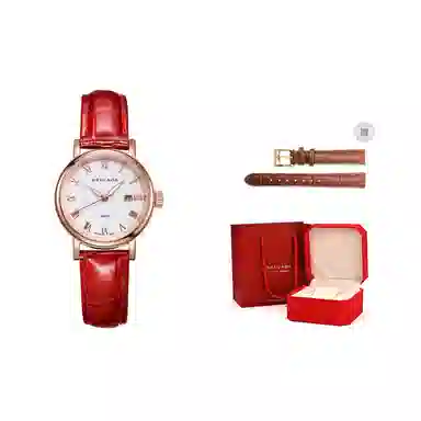 BRIGADA BJD-S30090L-01