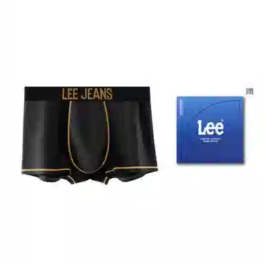 Lee 1