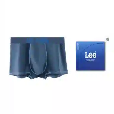 Lee 1