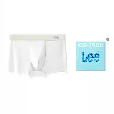 Lee 1
