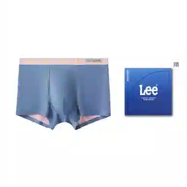 Lee 1