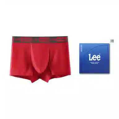 Lee 1