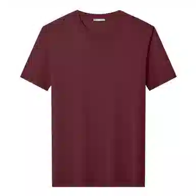 SUNDANCE T