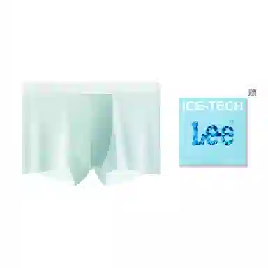 Lee 1