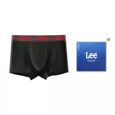 Lee 1
