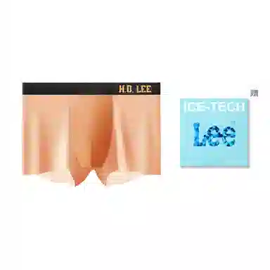 Lee 1