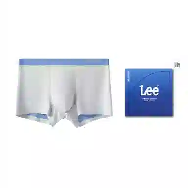 Lee 1