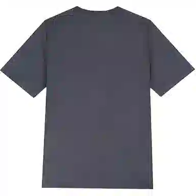 361 T