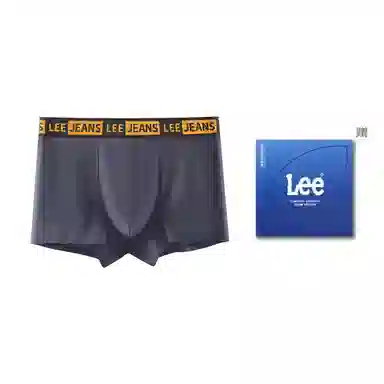 Lee 1