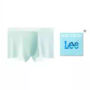 Lee 1