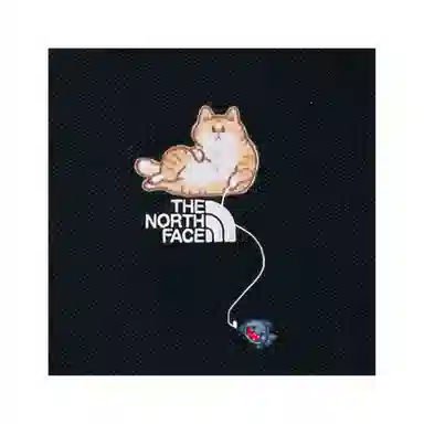 THE NORTH FACE LogoPolo