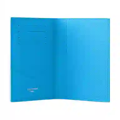 LOUIS VUITTON Colored Monogram
