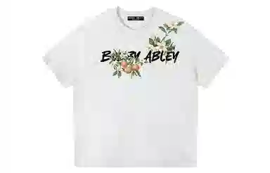 BOBBY ABLEY logoT