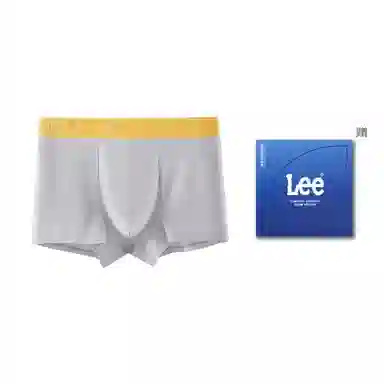 Lee 1