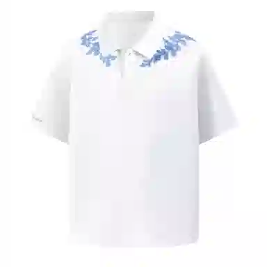 PAUL COSTELLOE 3DPolo