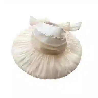 杨同学 流光纱温柔气质 欧根纱 防晒帽 女款