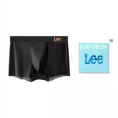 Lee 1