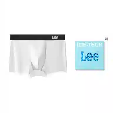 Lee 1