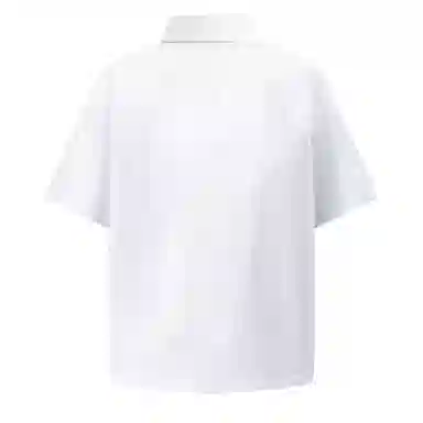 PAUL COSTELLOE 3DPolo