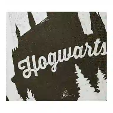 Harry Potter Canvas Tote Bag White