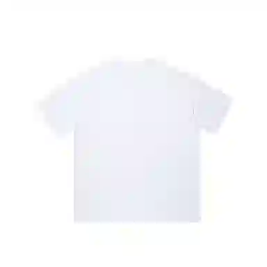 FEAROM T