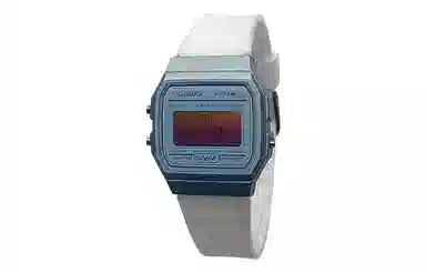 CASIO F-91WS-2