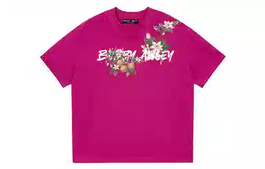 BOBBY ABLEY logoT