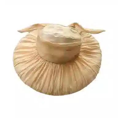 杨同学 流光纱温柔气质 欧根纱 防晒帽 女款