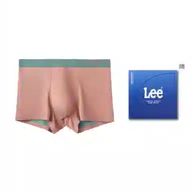 Lee 1