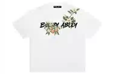BOBBY ABLEY logoT