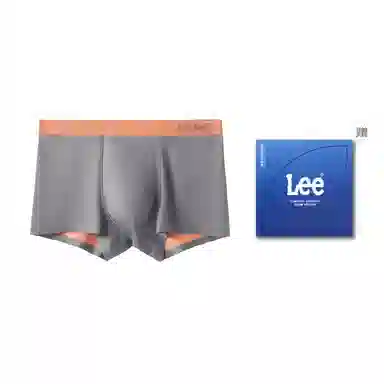 Lee 1