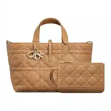 Dior Toujours Medium Handbag