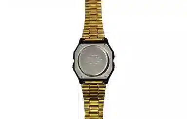 CASIO F-91WG-9-Steel Hive