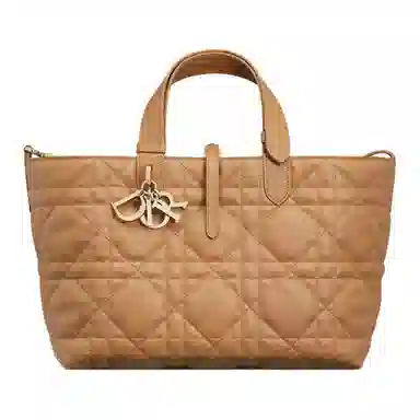 Dior Toujours Medium Handbag