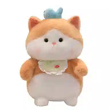 25cm35cm