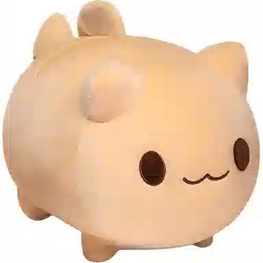 20cm25cm