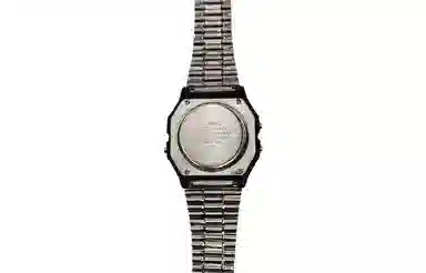 CASIO F-91WG-9-Steel Hive