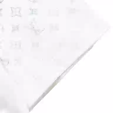 LOUIS VUITTON SS25 T